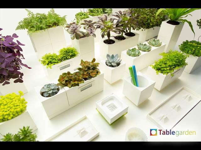 “微花园”新品互动体验活动 