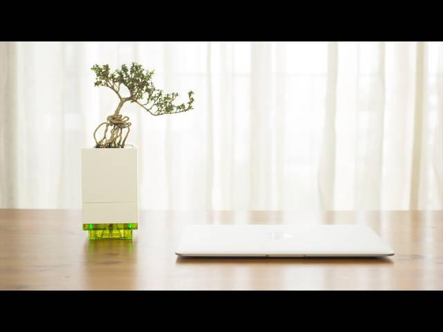 “微花园”新品互动体验活动 